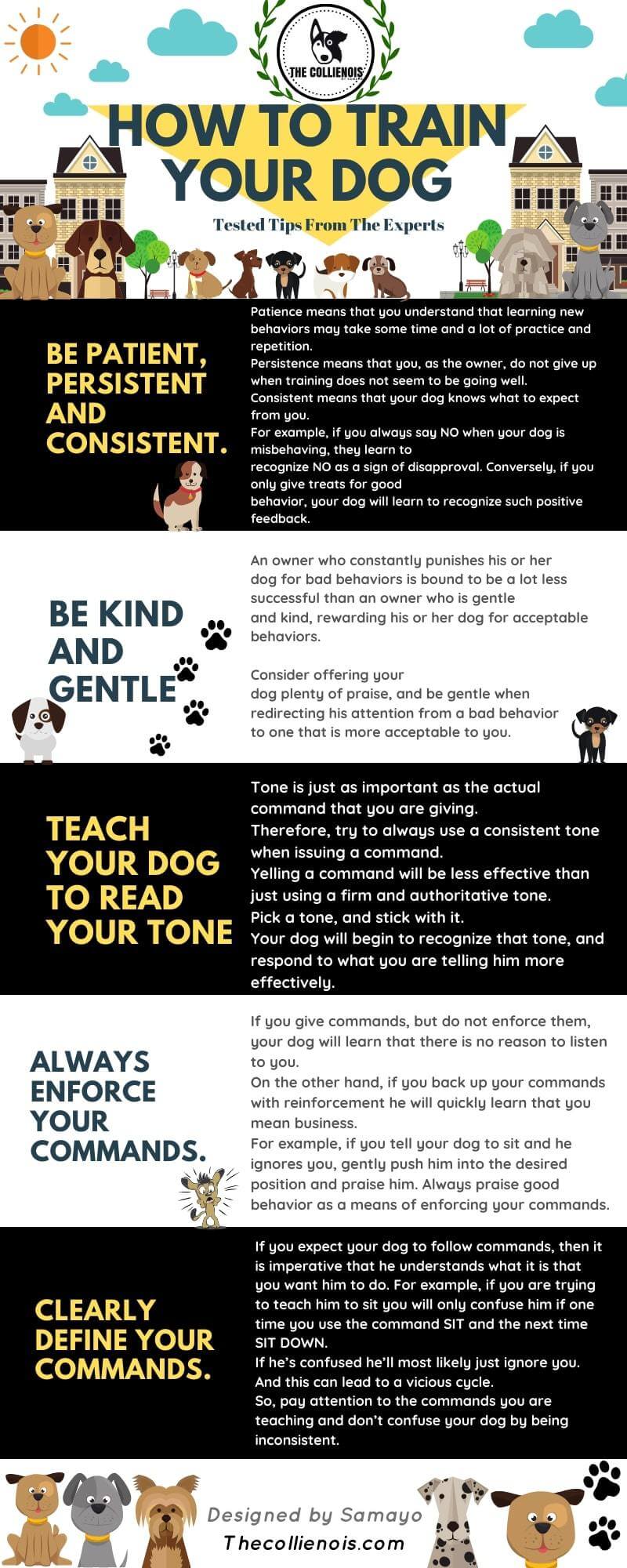 meilleurs conseils de formation de chien infographie