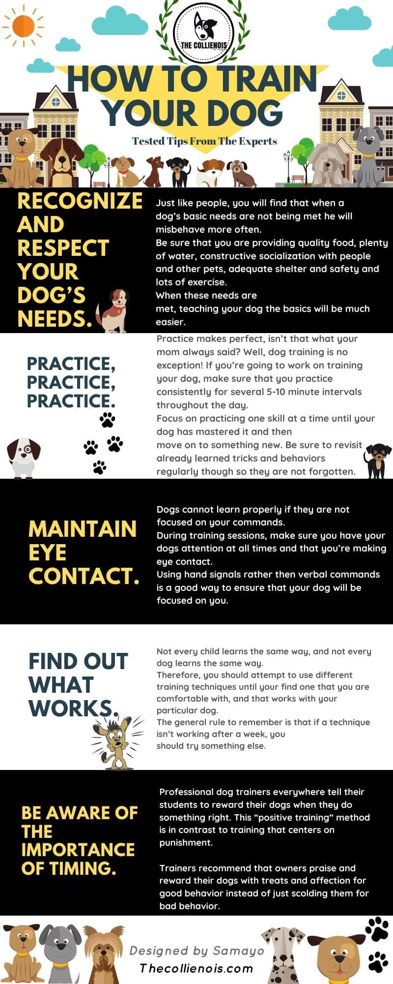 meilleurs conseils de formation de chien infographie