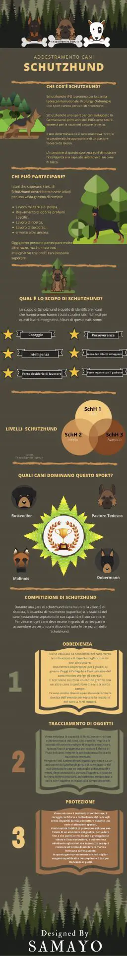 Addestramento cani Schutzhund infografica 2019
