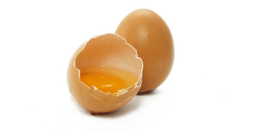 Uova al cane - possono mangiare i cani le uova 1 (2)
