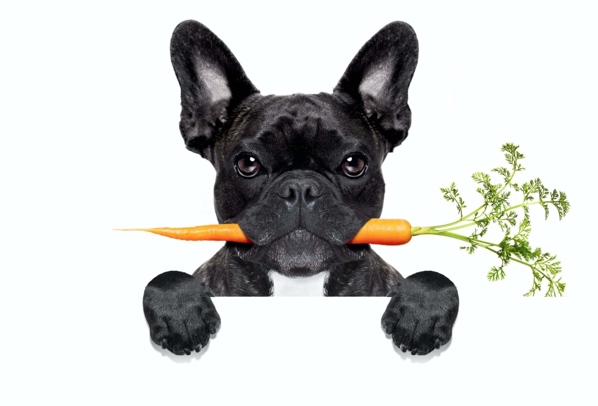 Alimentazione e dieta BARF per cani - Nutrizione del cane a base di carne cruda, ossa carnose, pesce crudo, organi, viscere, frutta e verdura 8