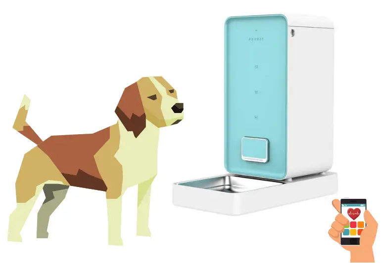 Petkit _ il miglior distributore automatico di crocchette per cani - il miglior distributore automatico di cibo per cani (2)