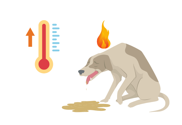 come misurare la febbre al cane - come capire se il cane ha la febbre - febbre cane (3)